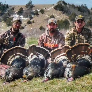 Meet your Posher, Keith